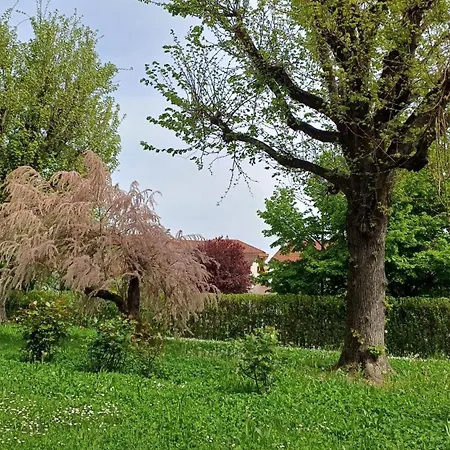 La Casa Nel Parco مونْكالييري